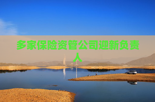 多家保险资管公司迎新负责人