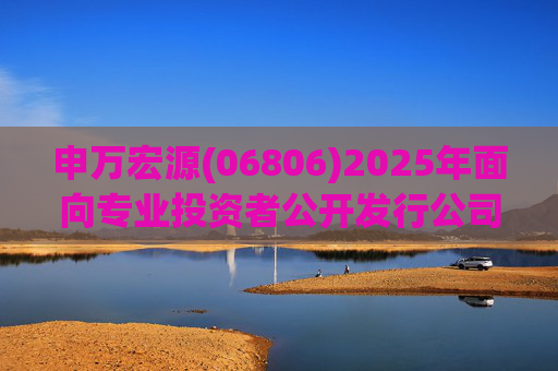 申万宏源(06806)2025年面向专业投资者公开发行公司债券(第二期)品种二票面利率为1.93%