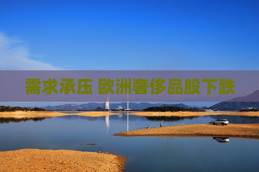 需求承压 欧洲奢侈品股下跌