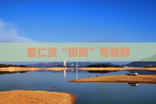 曹仁贤“掰腕”曾毓群