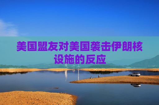 美国盟友对美国袭击伊朗核设施的反应