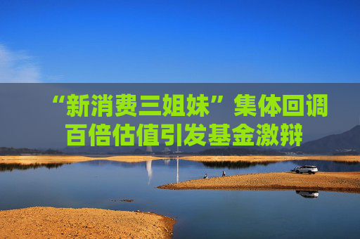 “新消费三姐妹”集体回调 百倍估值引发基金激辩
