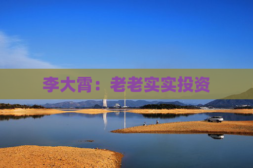 李大霄：老老实实投资