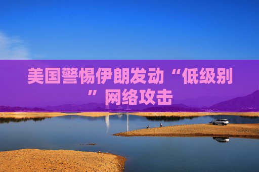 美国警惕伊朗发动“低级别”网络攻击