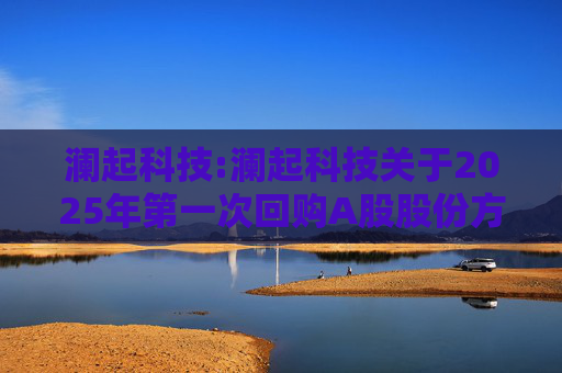 澜起科技:澜起科技关于2025年第一次回购A股股份方案首次回购股份暨回购股份进展的公告
