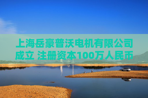 上海岳豪普沃电机有限公司成立 注册资本100万人民币