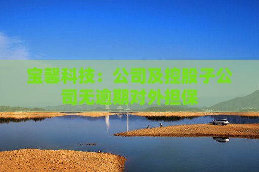 宝馨科技：公司及控股子公司无逾期对外担保
