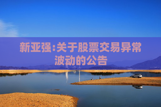 新亚强:关于股票交易异常波动的公告
