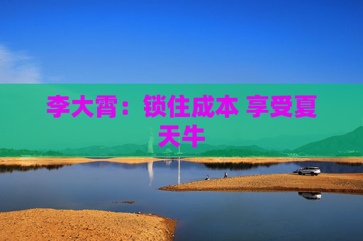 李大霄：锁住成本 享受夏天牛