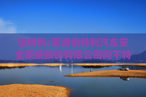 伯特利:芜湖伯特利汽车安全系统股份有限公司向不特定对象发行可转换公司债券资信评级报告