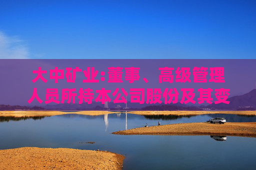 大中矿业:董事、高级管理人员所持本公司股份及其变动管理制度
