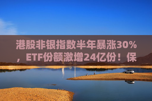 港股非银指数半年暴涨30%，ETF份额激增24亿份！保险股成重仓“C位”