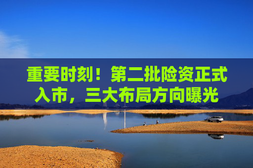 重要时刻！第二批险资正式入市，三大布局方向曝光