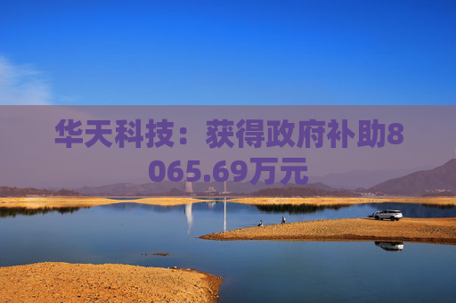 华天科技：获得政府补助8065.69万元