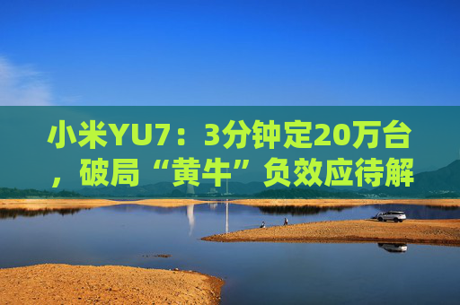 小米YU7：3分钟定20万台，破局“黄牛”负效应待解