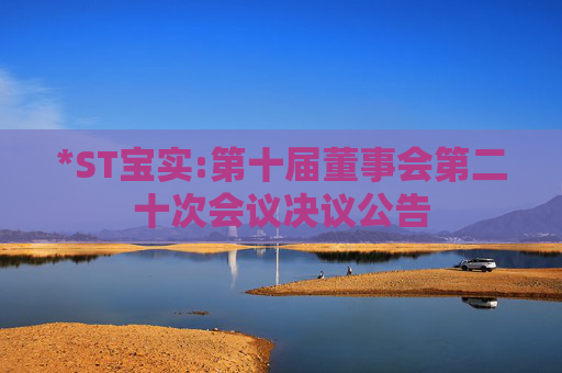 *ST宝实:第十届董事会第二十次会议决议公告