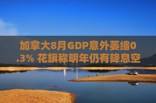 加拿大8月GDP意外萎缩0.3% 花旗称明年仍有降息空间 第1张 加拿大8月GDP意外萎缩0.3% 花旗称明年仍有降息空间 第1张