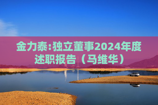金力泰:独立董事2024年度述职报告（马维华）