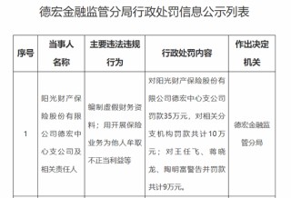 阳光财险合规危机与转型突围：昔日黑马如何重拾荣光？