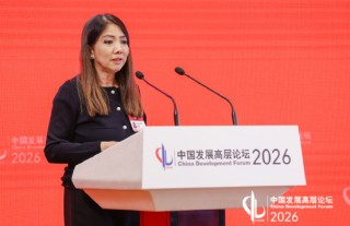 星展集团陈淑珊：中国安全、稳定、透明的营商环境给企业发展提供了强大助力