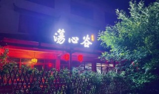 荡心谷文旅研究院院长杨帆：元旦假期量价双升，三大赛道表现亮眼