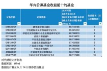 同为“明星”收益差近90%！金梓才多只基金垫底，闫思倩领跑赚65%，23年冠军基再大赚