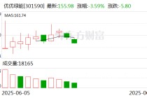 优优绿能2024年度利润分配预案：拟10派12元