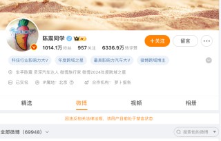 网红车评人陈震偷税追缴并罚共计247余万元，多个社交账号被禁言