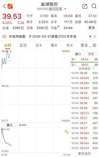 2000亿市值巨头盐湖股份，冲涨停