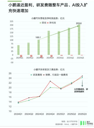 谁偷袭了比亚迪？