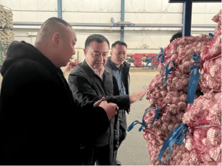 平安融易“棱镜”项目助力金乡大蒜产业高质量发展