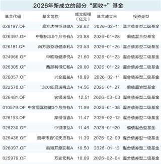 “固收+”基金规模快速扩张 个人投资者成申购新晋主力