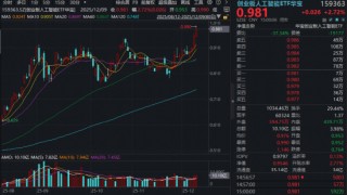 年内暴力翻倍！高“光”创业板人工智能ETF华宝（159363）逆市新高！基金经理：H200解禁持续利好光模块！