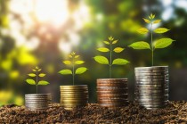 金融机构的定义及分类是什么？这个定义和分类在金融领域有哪些体现？