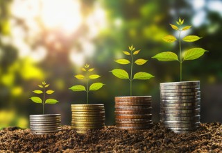 金融机构的定义及分类是什么？这个定义和分类在金融领域有哪些体现？
