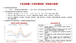 李迅雷谈十五五的三大亮点与投资机会：科技自力自强、大力提振消费、国产替代（附演讲PPT）