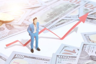 如何进行鸡蛋相关的保险投入？这种投入方式有什么依据？