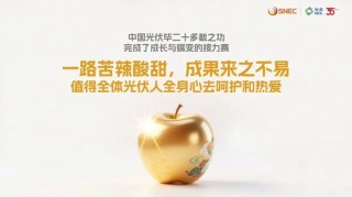 协鑫集团朱共山：以牺牲合理利润为代价的极致降本、极限竞争，无异于饮鸩止渴