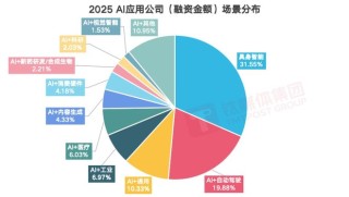 1070亿、930家公司：2025中国AI应用的野蛮共识