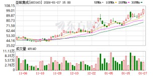 圣晖集成涨停，龙虎榜上机构买入1610.39万元，卖出856.03万元