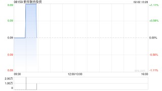 新华联合投资发行1.01亿股股份