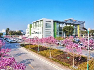 从韩伟出任副总裁兼COO，看华帝的“谋”和“算”