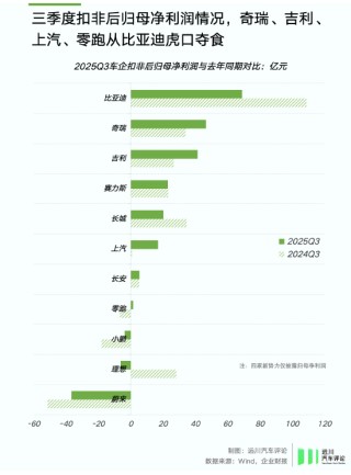 谁偷袭了比亚迪？