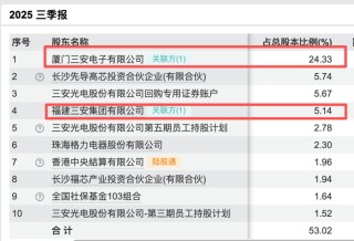 三安光电实控人林秀成被留置并立案调查