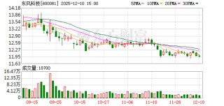 东风科技：公司将致力于提升经营业绩