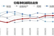 一针强心剂