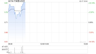 中国置业投资计划购买数字资产