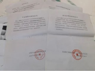 7623万骗贷大案，揭露阳光财险的“隐秘角落”！