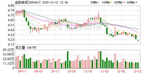 岳阳林纸：良好的市值表现是投资者和公司的一致愿望