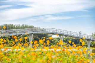 坝河“破茧”焕新，点亮城市滨水生活